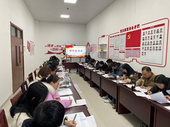 党性体检补短板，民主评议促提升--现代服务支部十二月主题党日活动